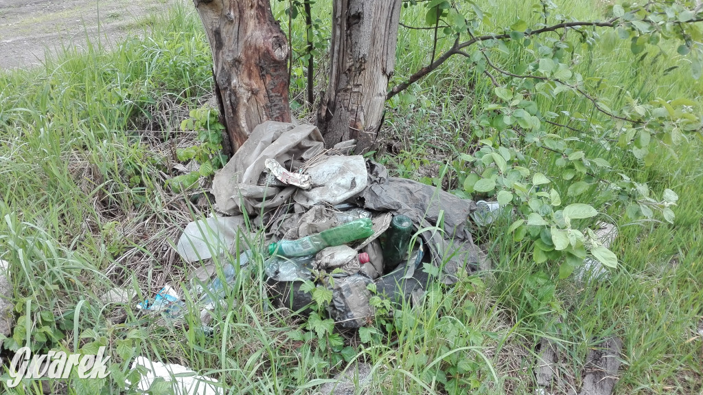 Spacer po parku Piny ze śmieciami w tle
