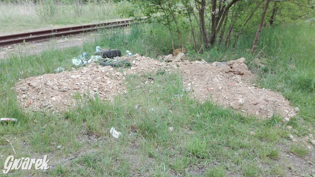 Spacer po parku Piny ze śmieciami w tle