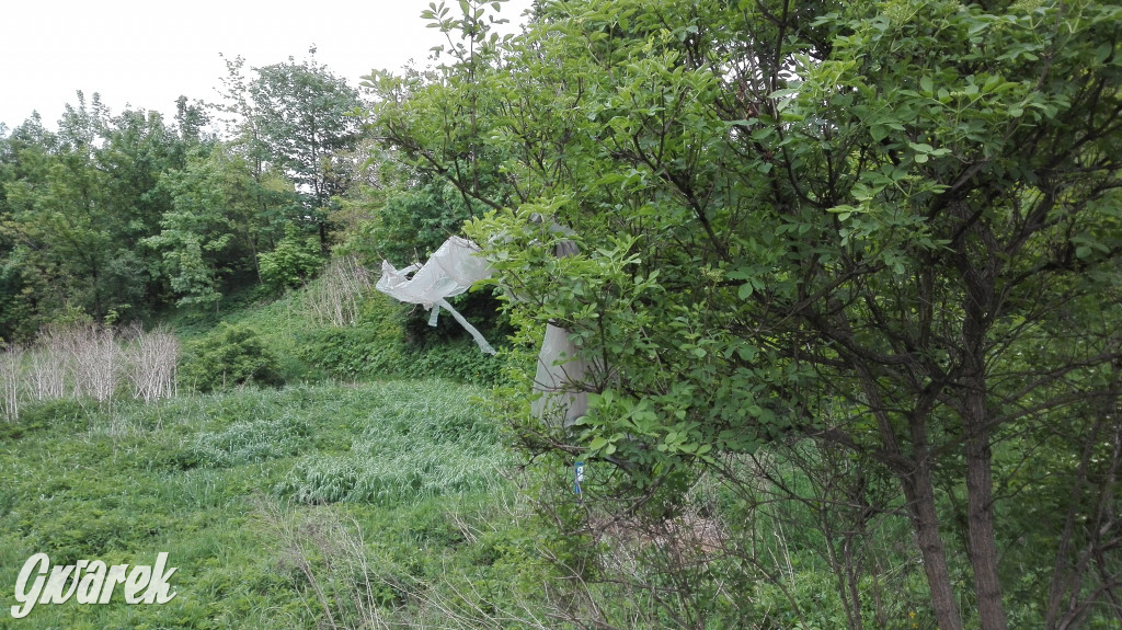 Spacer po parku Piny ze śmieciami w tle