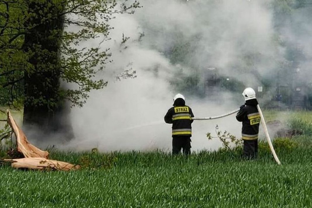 W Brynku od uderzenia pioruna zapaliło się drzewo