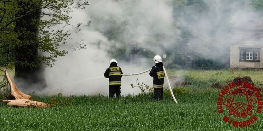 W Brynku od uderzenia pioruna zapaliło się drzewo