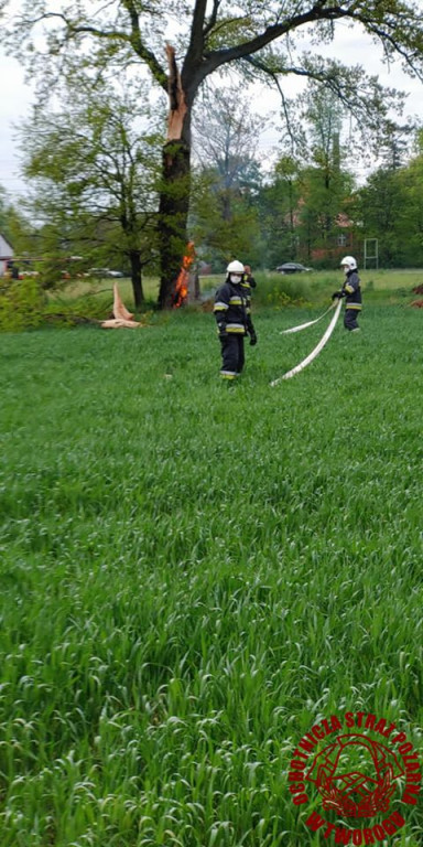W Brynku od uderzenia pioruna zapaliło się drzewo