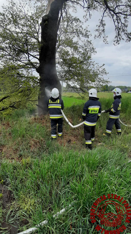 W Brynku od uderzenia pioruna zapaliło się drzewo