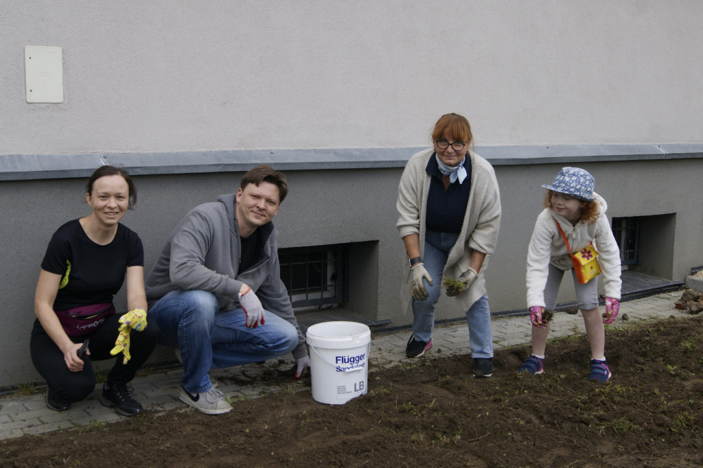 Przed liceum zasiali łąkę kwietną