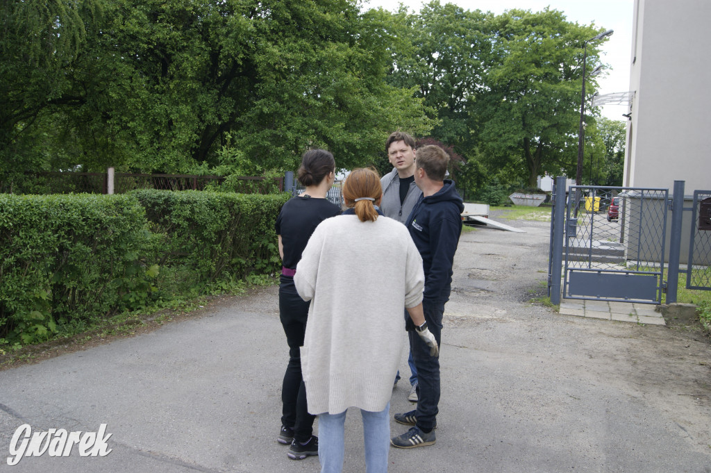 Przed liceum zasiali łąkę kwietną