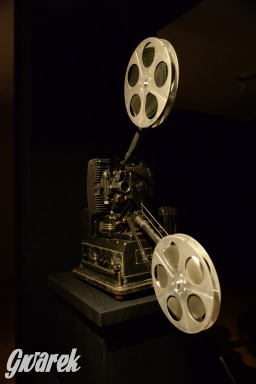 Niebezpieczeństwo moralne i Muzeum w Tarnowskich Górach