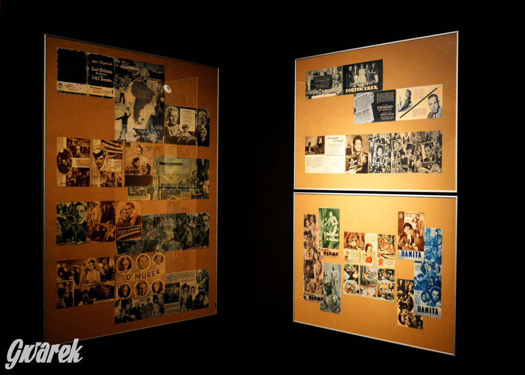 Niebezpieczeństwo moralne i Muzeum w Tarnowskich Górach