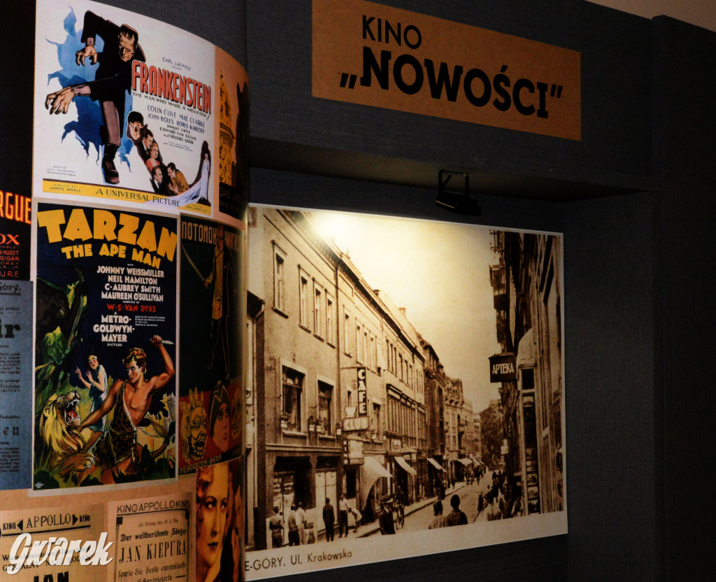 Niebezpieczeństwo moralne i Muzeum w Tarnowskich Górach