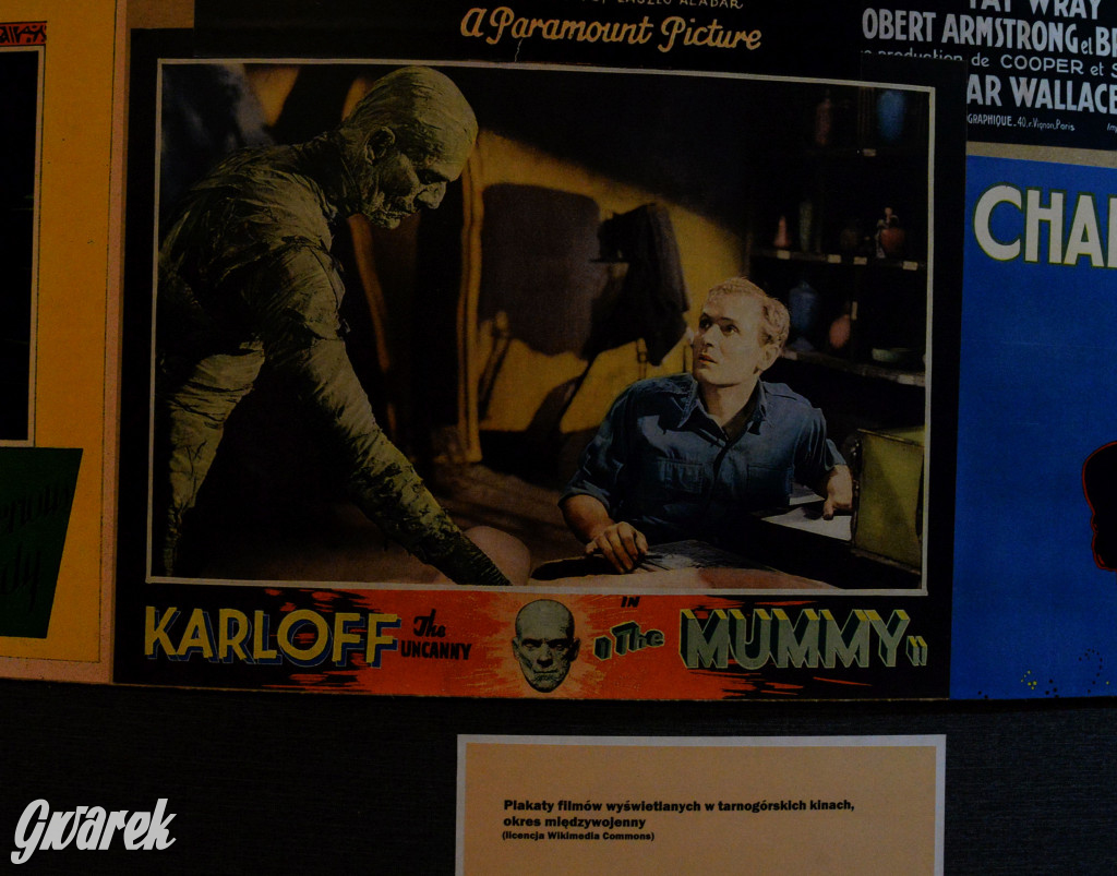 Niebezpieczeństwo moralne i Muzeum w Tarnowskich Górach