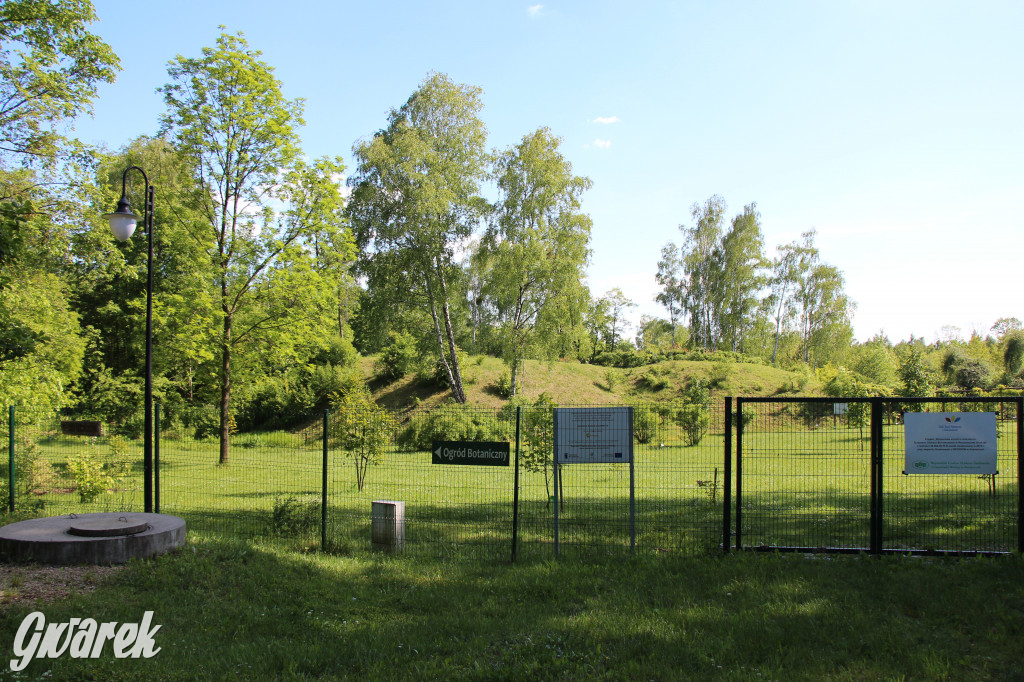 Zieleń, ciekawe rośliny i dużo ścieżek