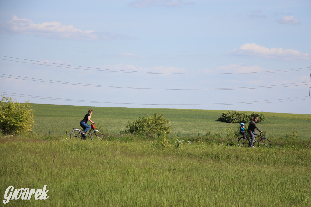 Zieleń, ciekawe rośliny i dużo ścieżek