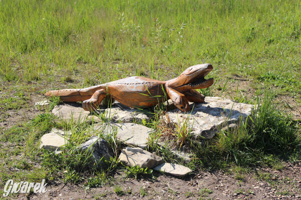 Zieleń, ciekawe rośliny i dużo ścieżek