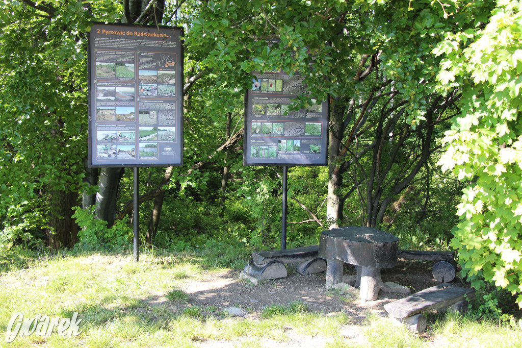 Zieleń, ciekawe rośliny i dużo ścieżek