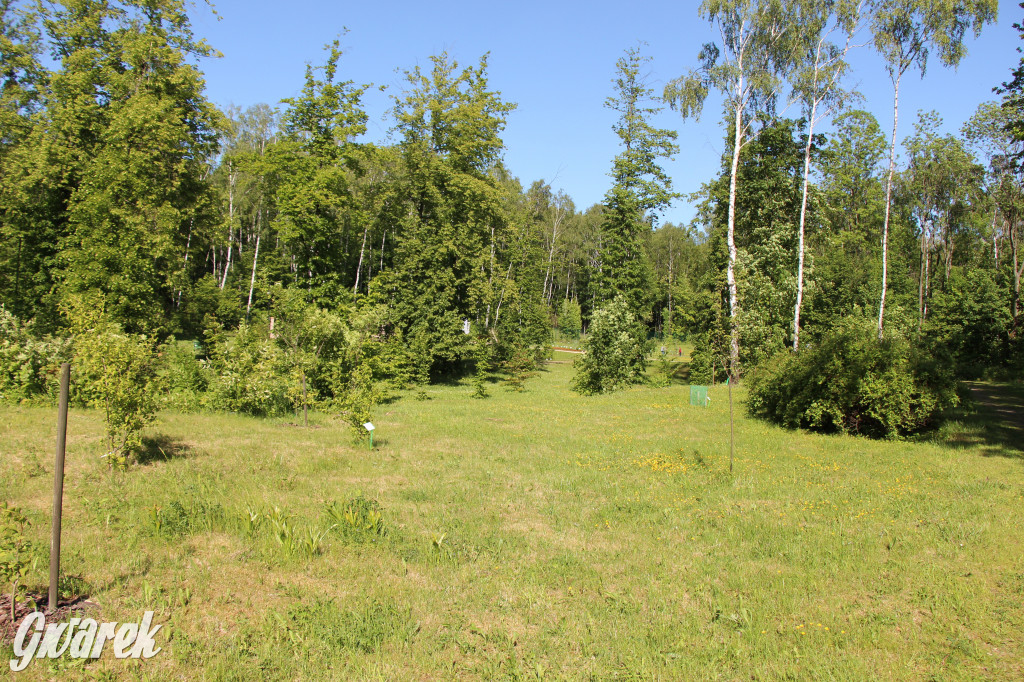 Zieleń, ciekawe rośliny i dużo ścieżek