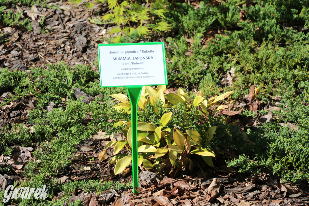 Zieleń, ciekawe rośliny i dużo ścieżek