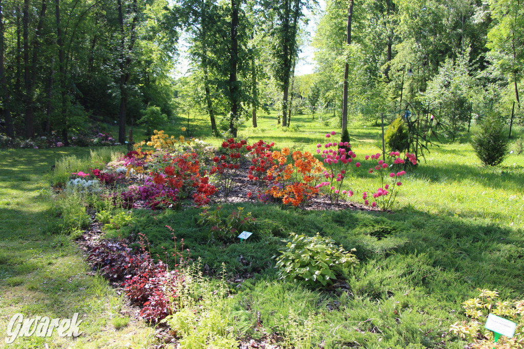 Zieleń, ciekawe rośliny i dużo ścieżek