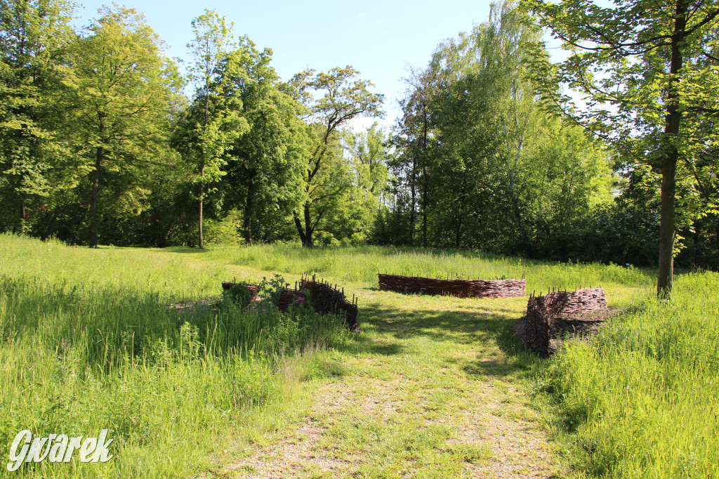 Zieleń, ciekawe rośliny i dużo ścieżek