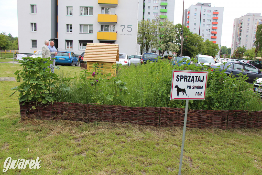 Osada Jana. Hotel dla pszczół i zapylaczy otwarty