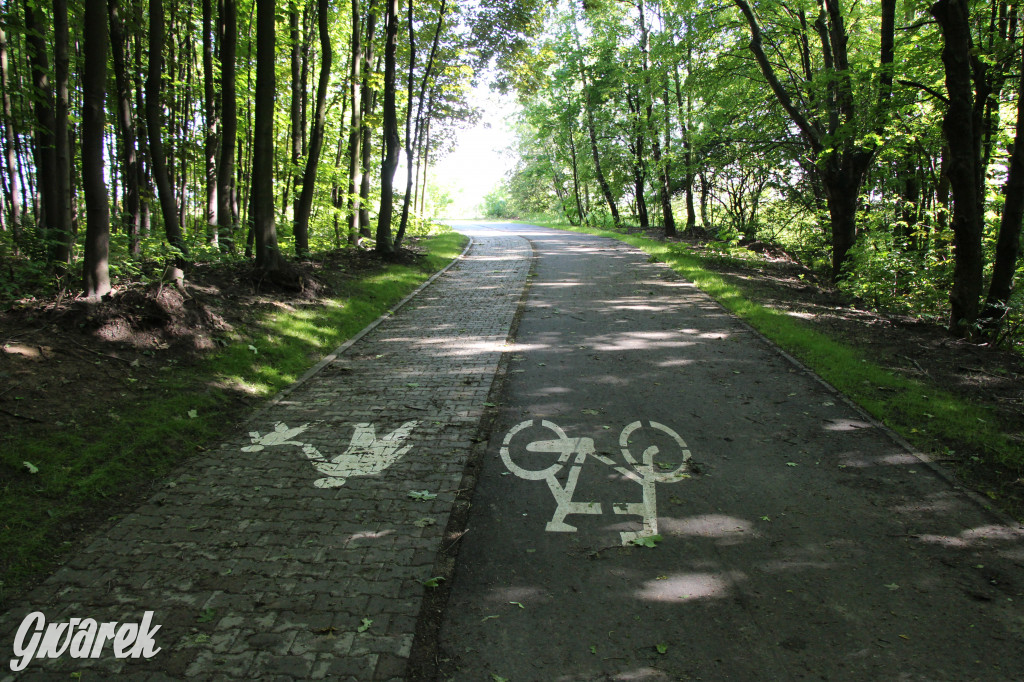 Z Kopca Wyzwolenia na Księżą Górę. Nowa ścieżka