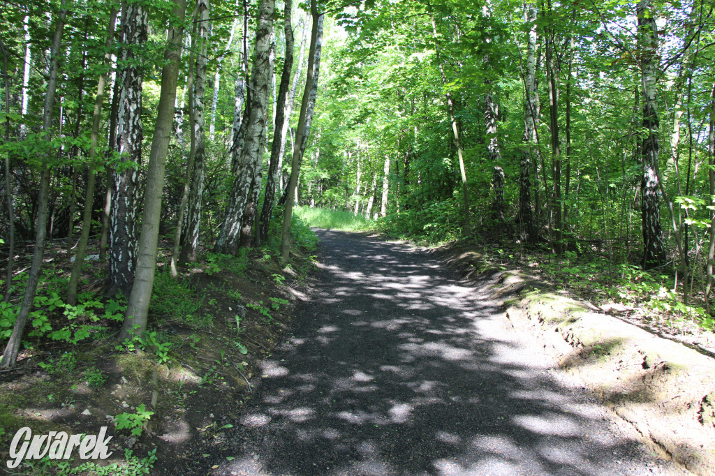 Z Kopca Wyzwolenia na Księżą Górę. Nowa ścieżka