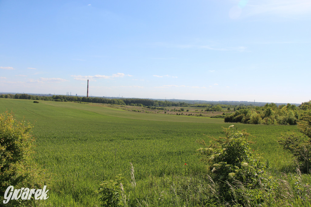 Z Kopca Wyzwolenia na Księżą Górę. Nowa ścieżka