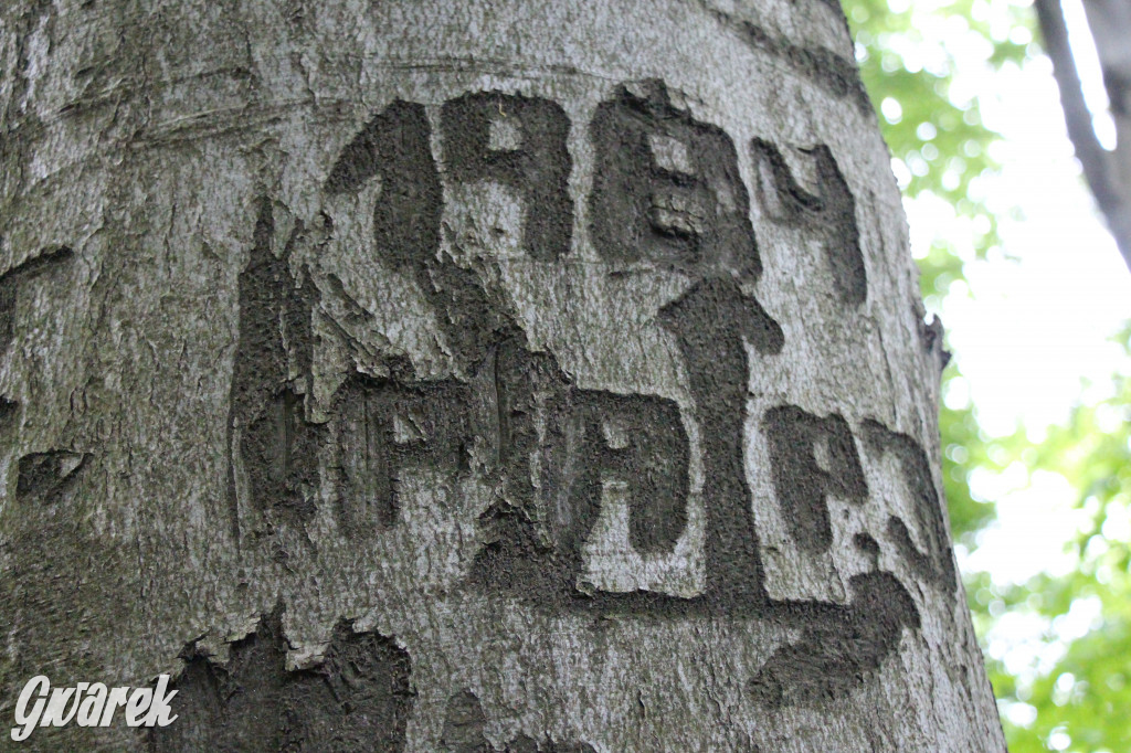 Zapomniany rezerwat: Góra Grojec