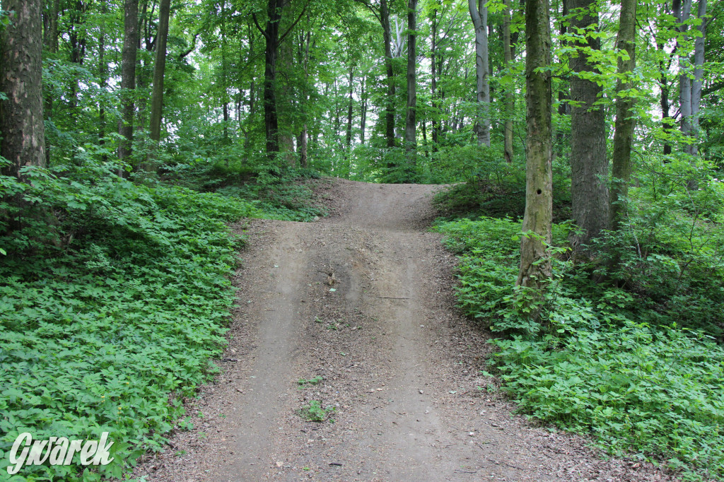 Zapomniany rezerwat: Góra Grojec