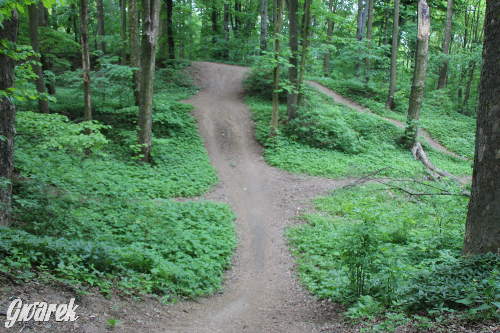 Zapomniany rezerwat: Góra Grojec