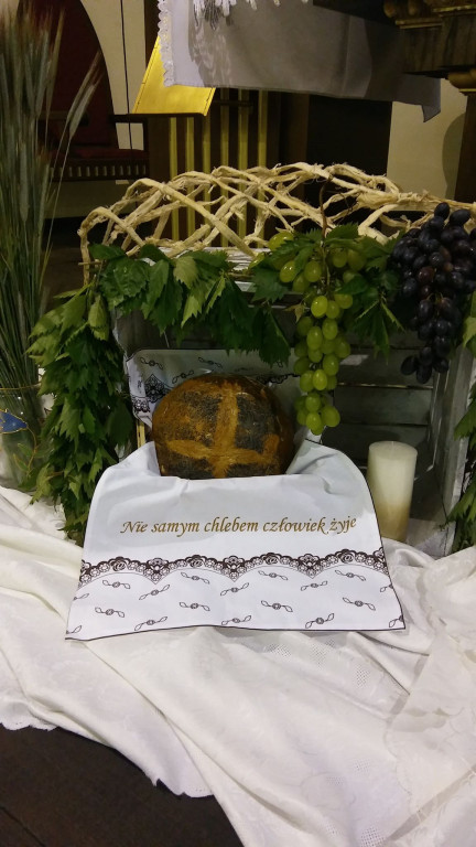 Dywan kwiatowy zamiast procesji