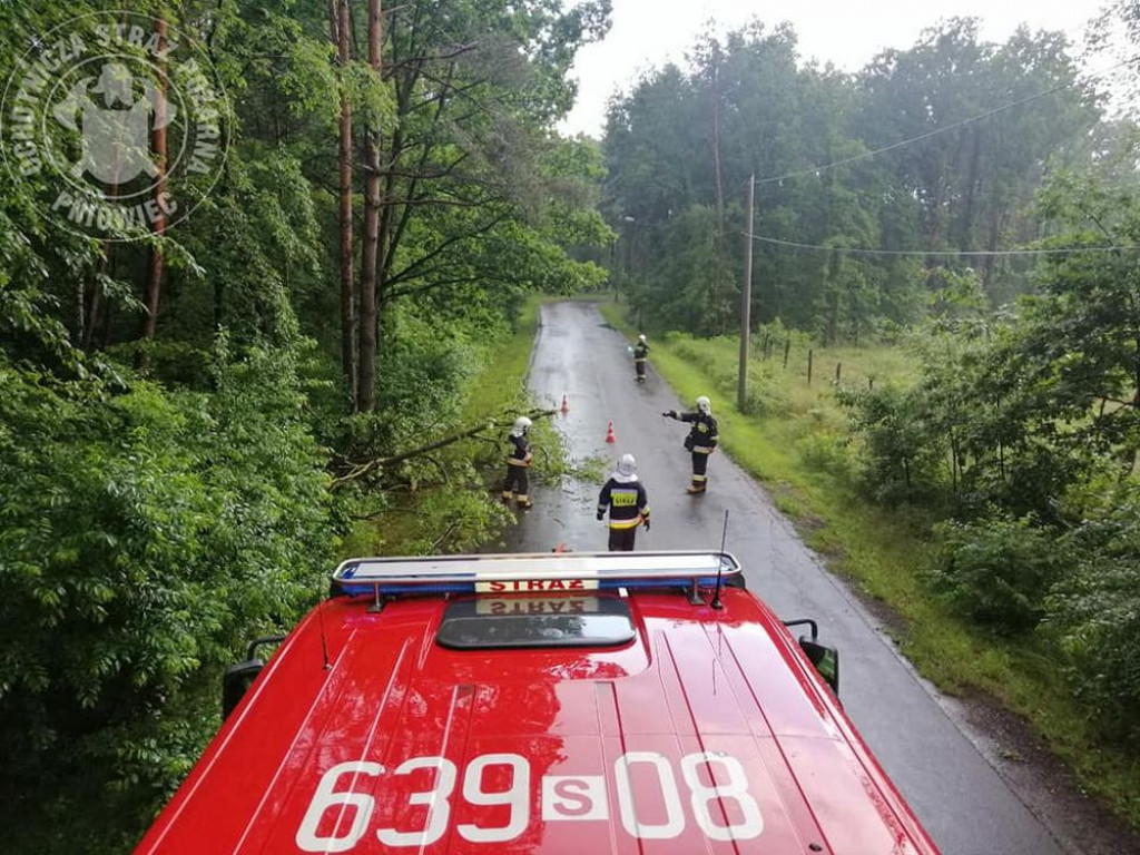 Zalane posesje, powalone drzewa, wyrwa w drodze