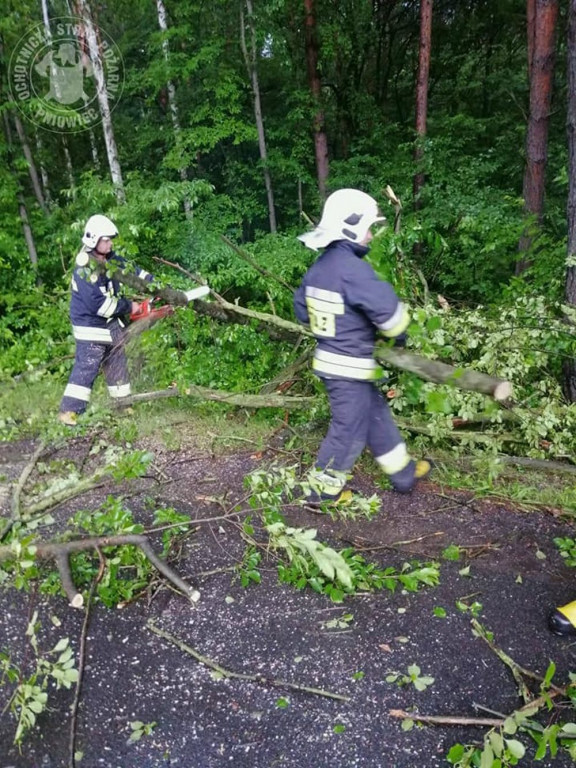 Zalane posesje, powalone drzewa, wyrwa w drodze