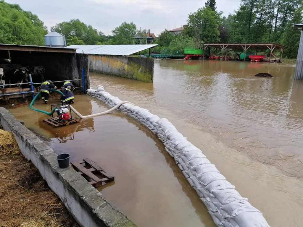 Zalane posesje, powalone drzewa, wyrwa w drodze