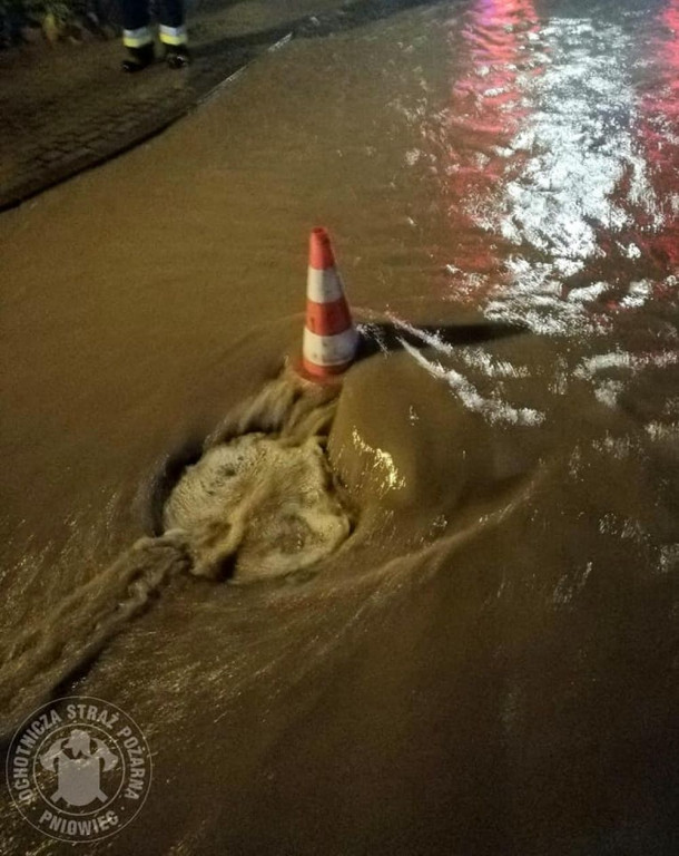 Zalane posesje, powalone drzewa, wyrwa w drodze