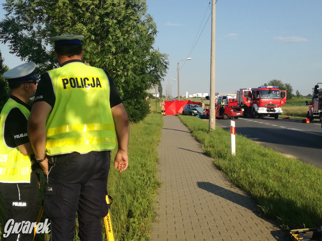 W wypadku na DK 11 zginął 72-latek