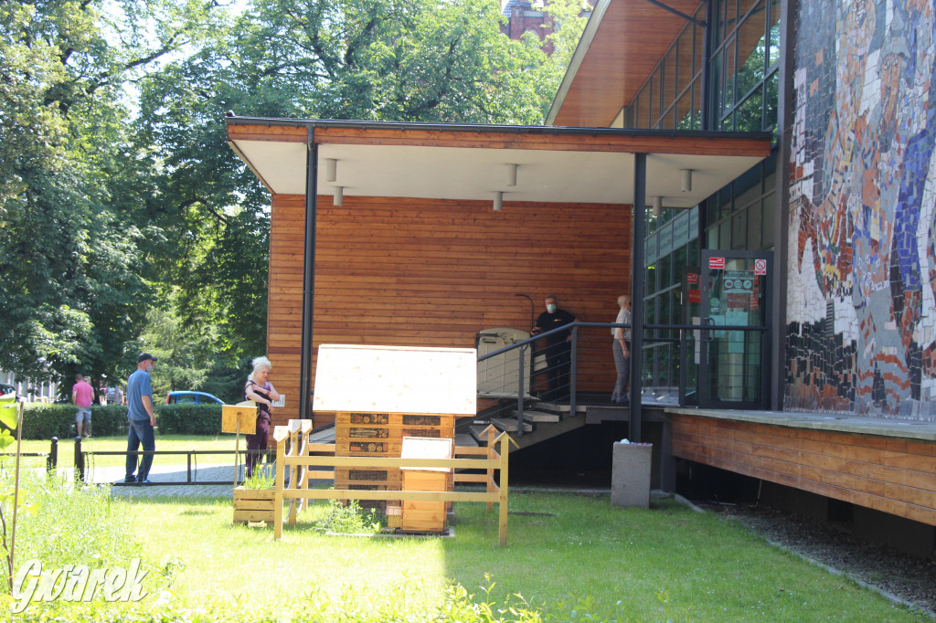 Wybory prezydenckie. W Tarnowskich Górach kolejki do urn