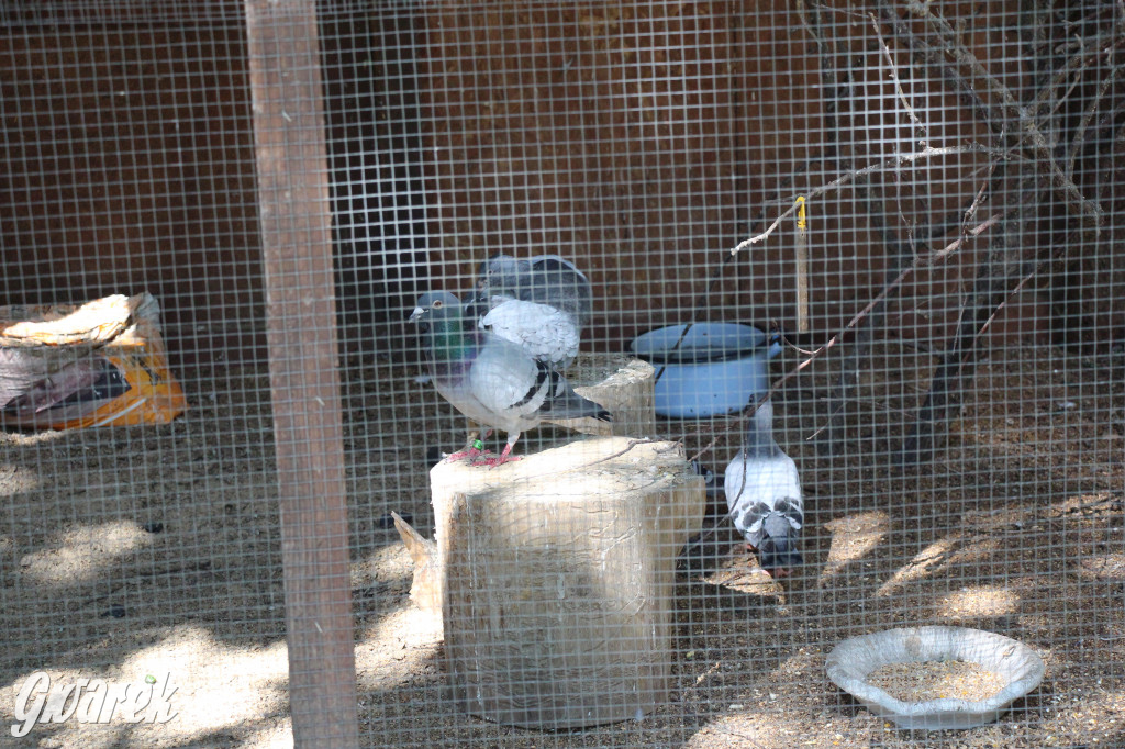 Ośrodek Brzeźnica w czasie upału tętni życiem