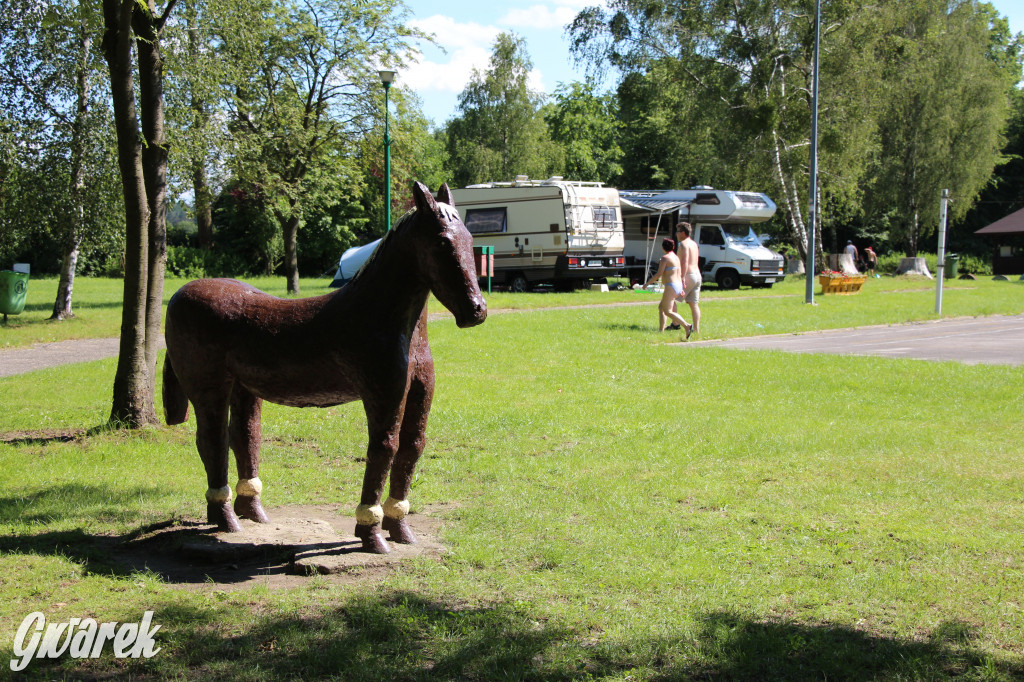 Ośrodek Brzeźnica w czasie upału tętni życiem
