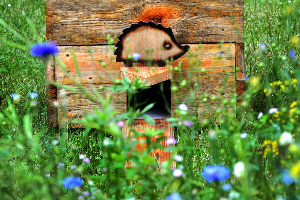 Hotelik przed Tarnogórskim Centrum Kultury