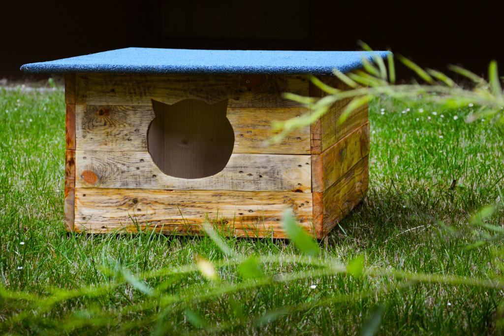 Hotelik przed Tarnogórskim Centrum Kultury