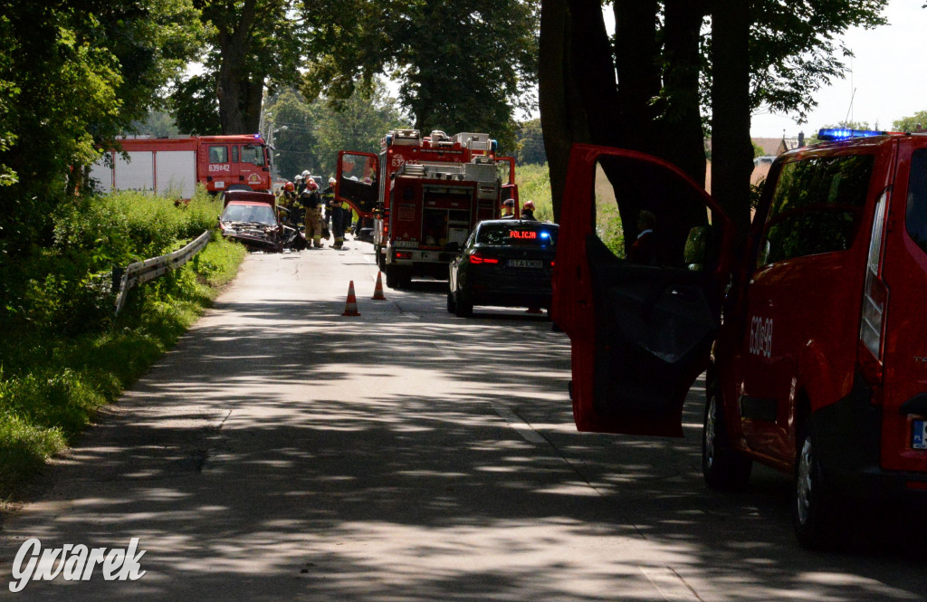 Tarnowskie Góry - Laryszów. Wypadek na prostej drodze