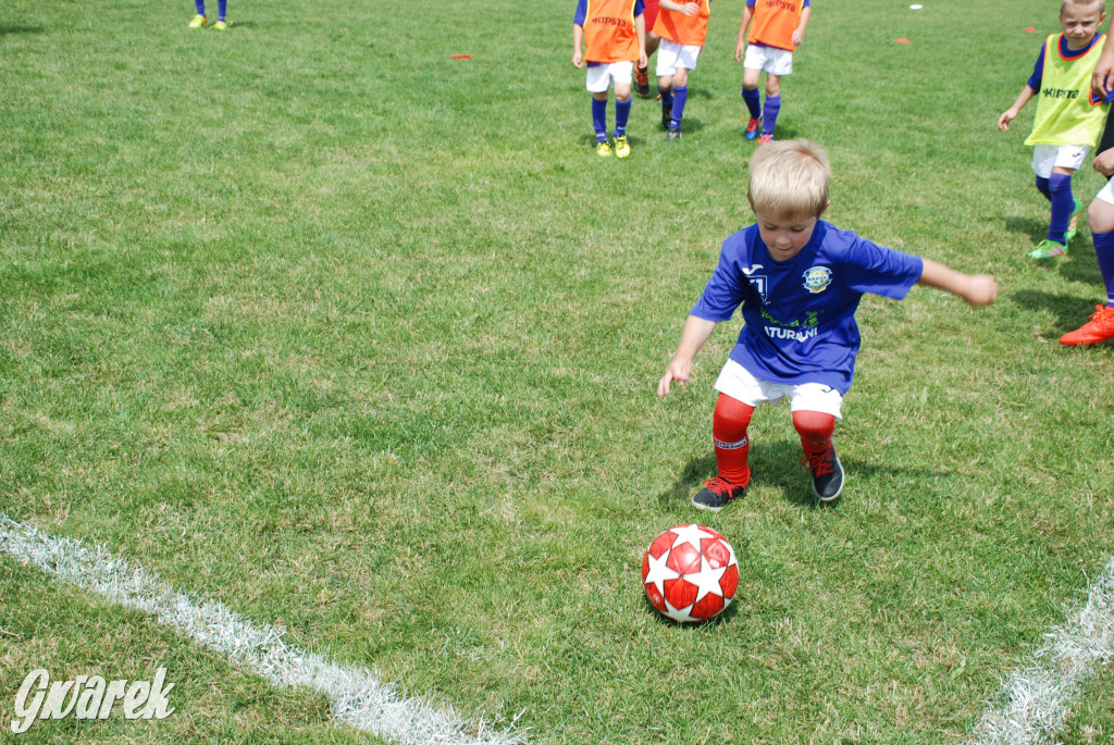 Wielopokoleniowy turniej, wszyscy wygrali