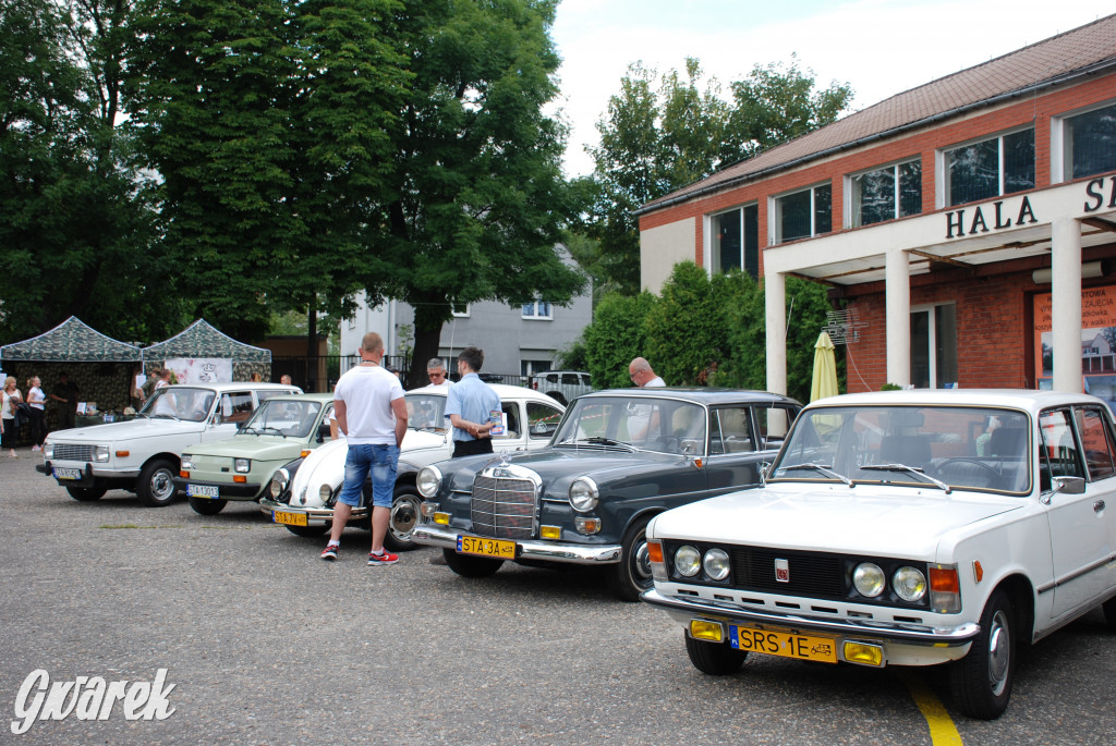 Pokaz mody na rodzinnym pikniku