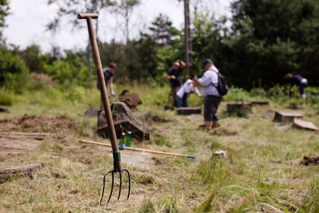 Sprzątanie żydowskiego cmentarza