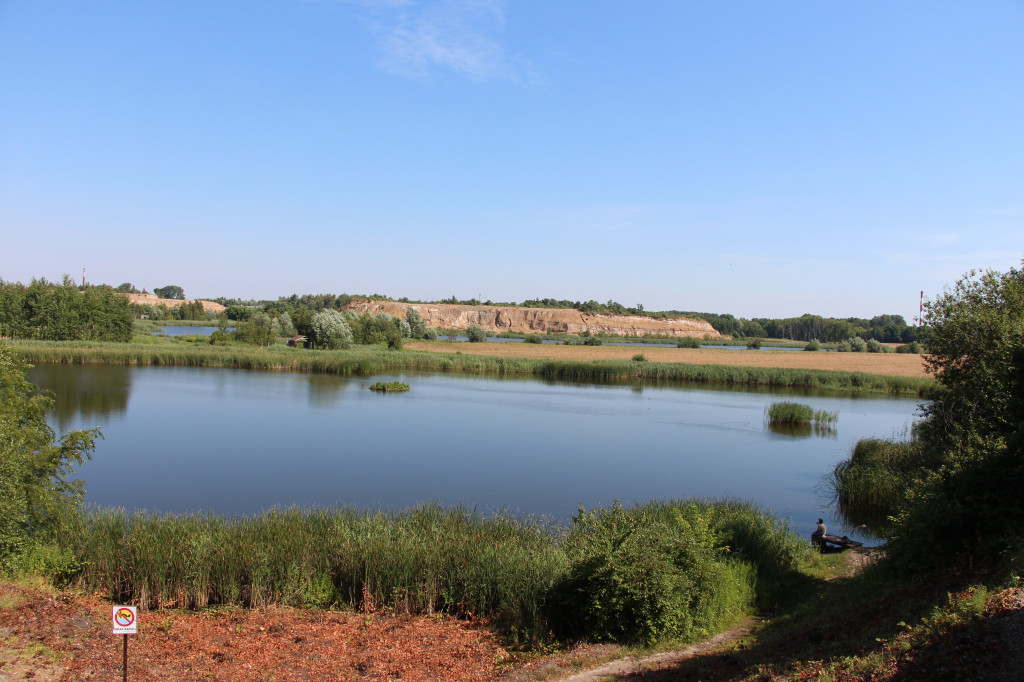 Żabie Doły - zielona enklawa w Bytomiu