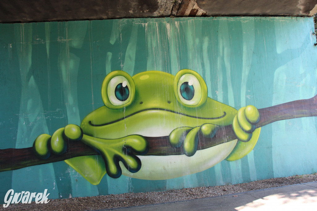 Żabie Doły - zielona enklawa w Bytomiu