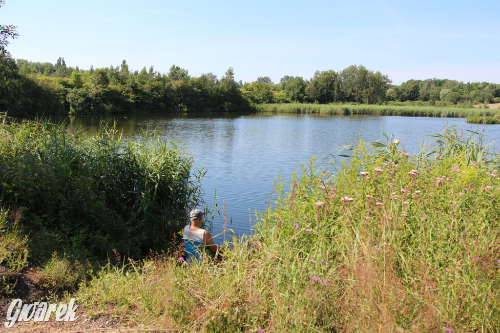 Żabie Doły - zielona enklawa w Bytomiu