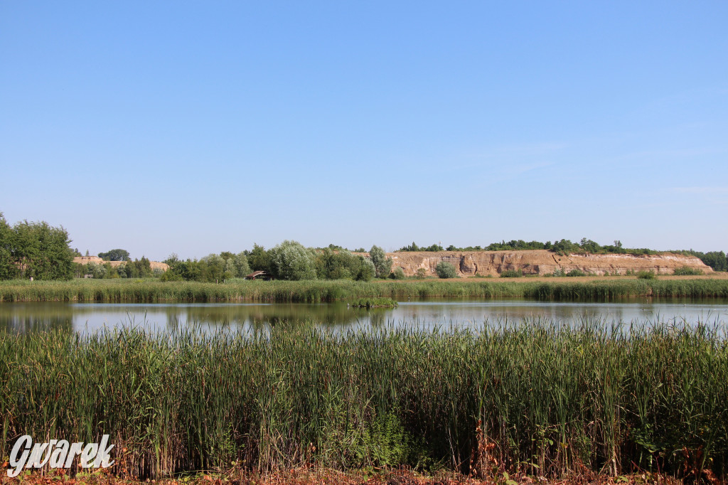 Żabie Doły - zielona enklawa w Bytomiu