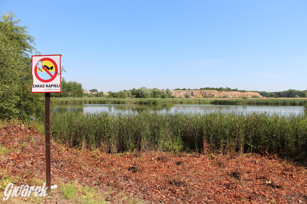 Żabie Doły - zielona enklawa w Bytomiu