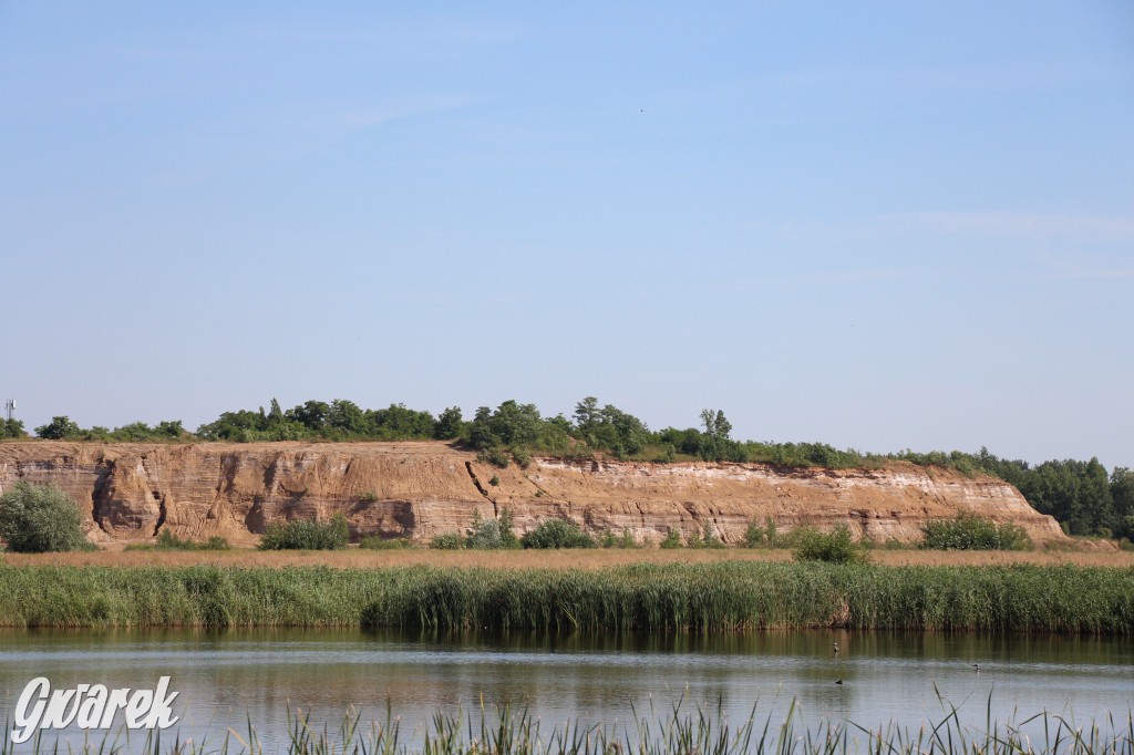 Żabie Doły - zielona enklawa w Bytomiu