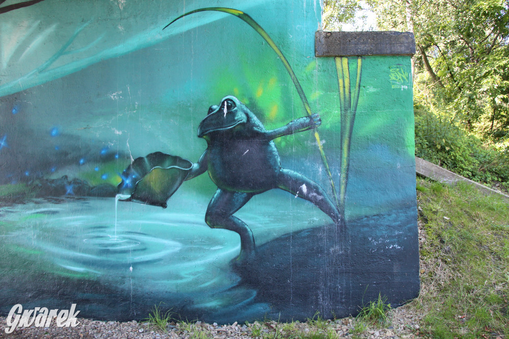 Żabie Doły - zielona enklawa w Bytomiu